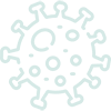 corona virus